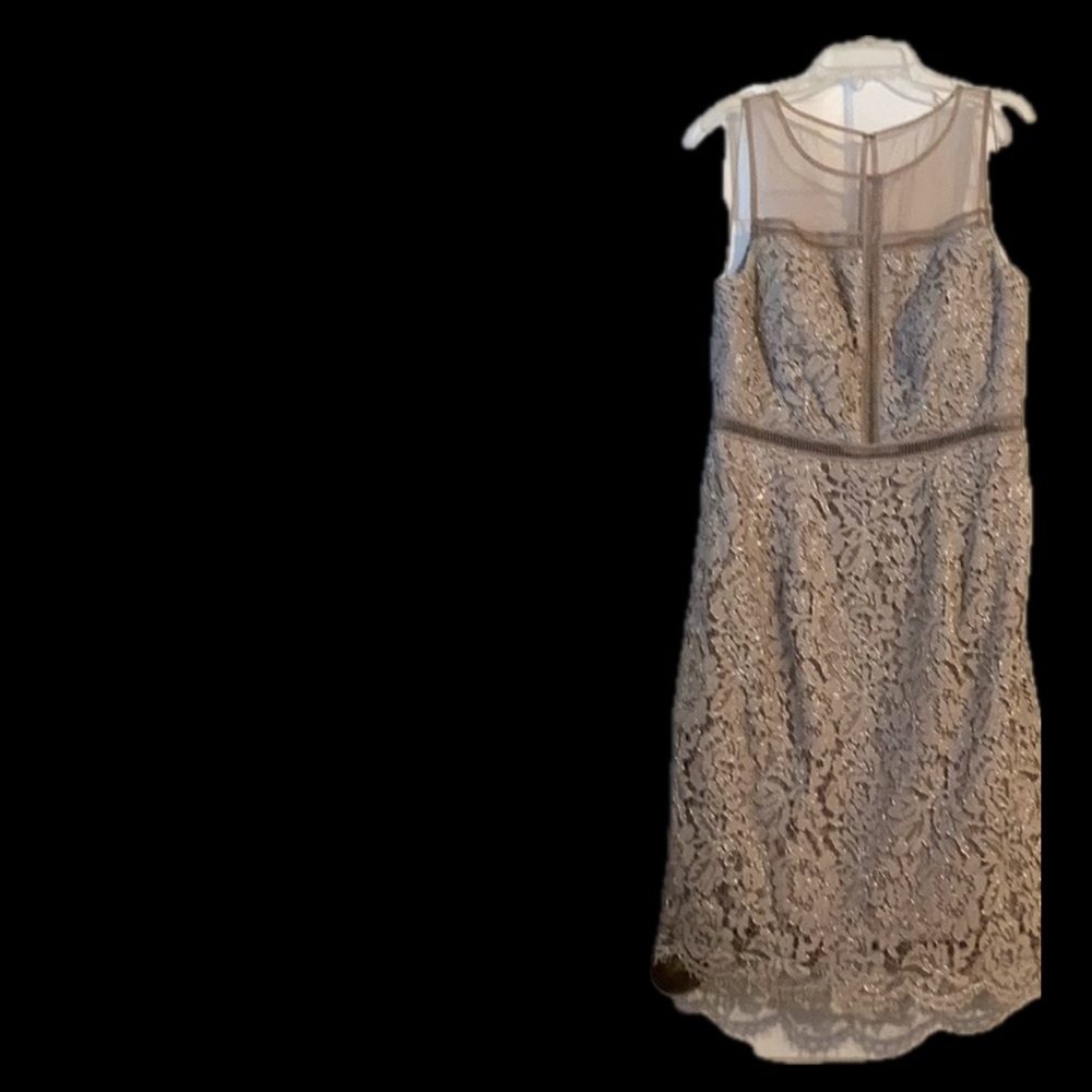 Adrianna Papell Metallic Mesh Dress
